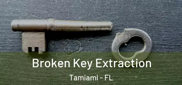  Broken Key Extraction Tamiami - FL
