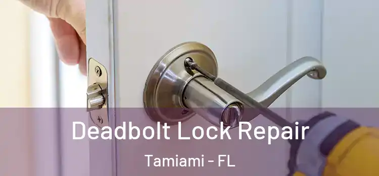  Deadbolt Lock Repair Tamiami - FL