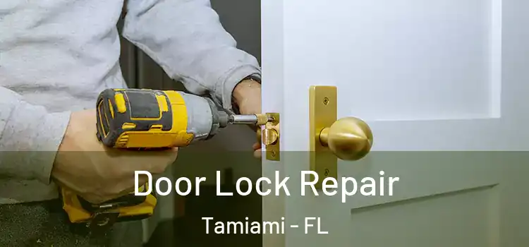  Door Lock Repair Tamiami - FL
