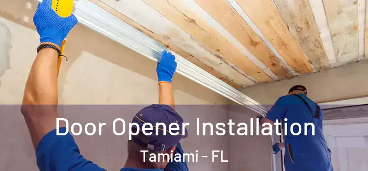  Door Opener Installation Tamiami - FL