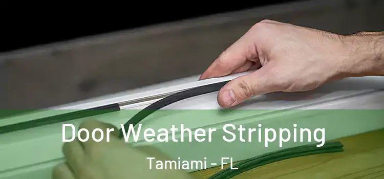  Door Weather Stripping Tamiami - FL