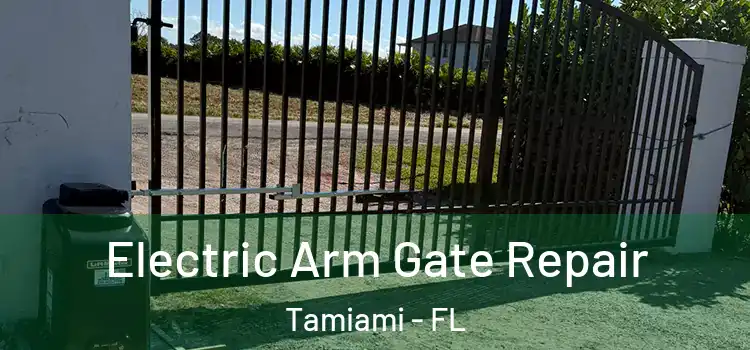 Electric Arm Gate Repair Tamiami - FL