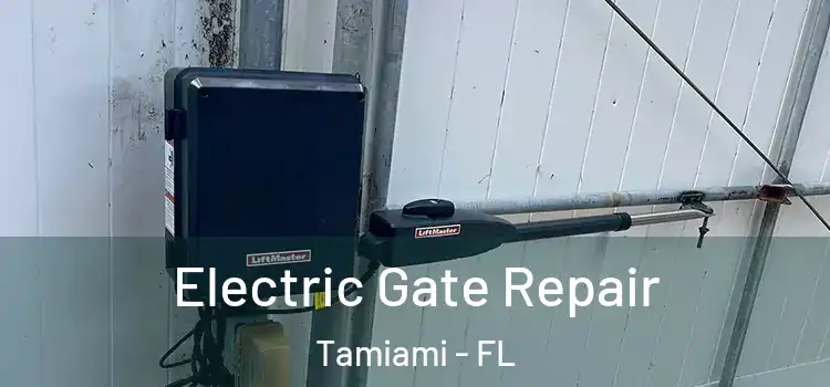  Electric Gate Repair Tamiami - FL