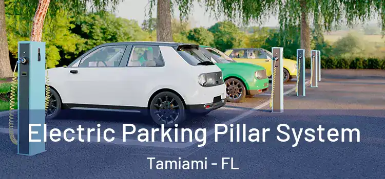  Electric Parking Pillar System Tamiami - FL