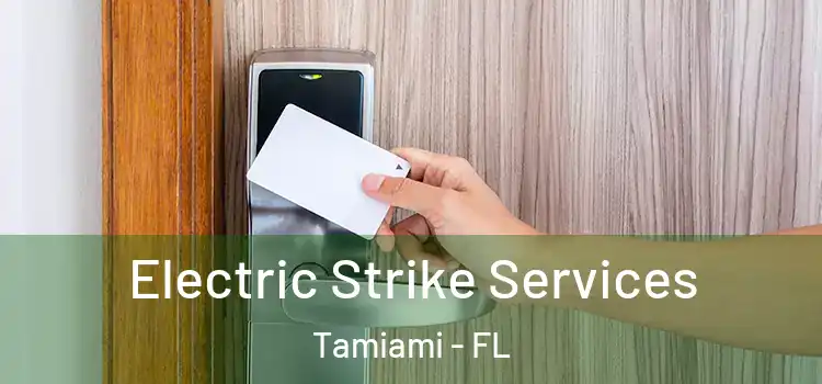  Electric Strike Services Tamiami - FL