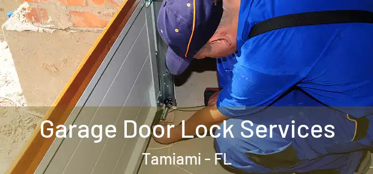  Garage Door Lock Services Tamiami - FL