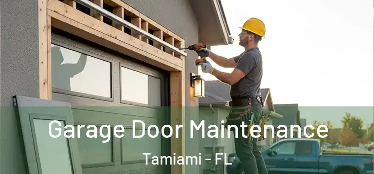  Garage Door Maintenance Tamiami - FL