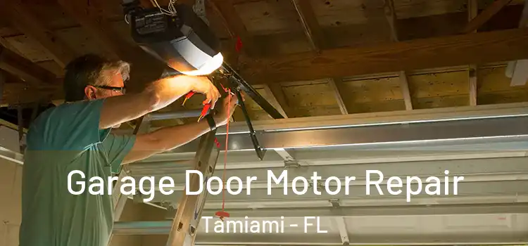  Garage Door Motor Repair Tamiami - FL