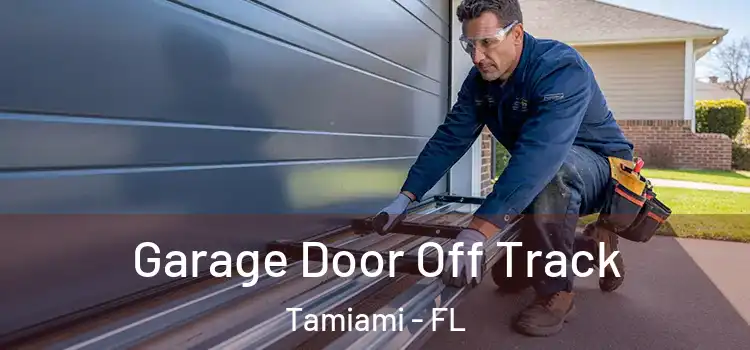  Garage Door Off Track Tamiami - FL