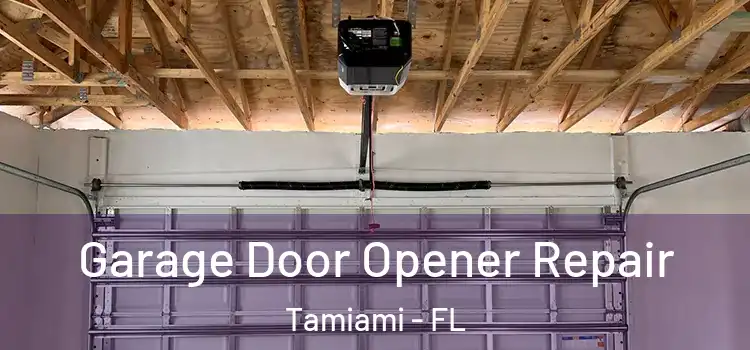  Garage Door Opener Repair Tamiami - FL
