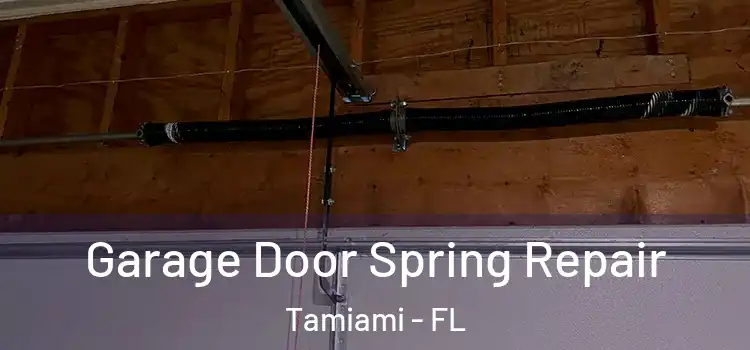  Garage Door Spring Repair Tamiami - FL