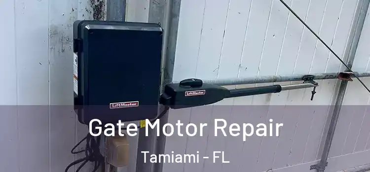  Gate Motor Repair Tamiami - FL