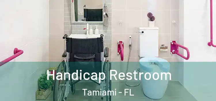  Handicap Restroom Tamiami - FL