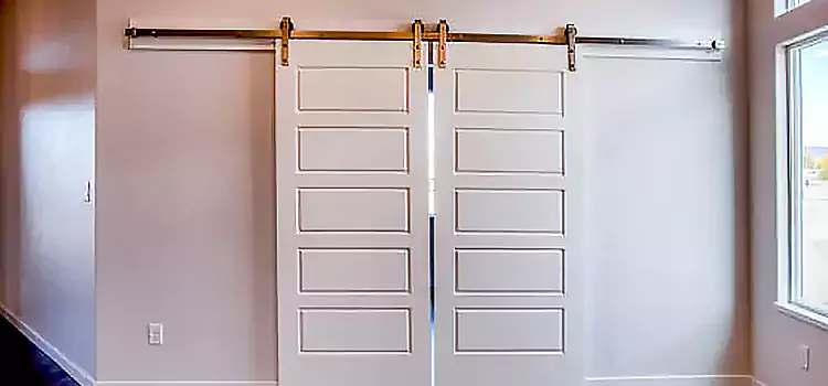 Glass Barn Door with Installation Hardware Kit Tamiami