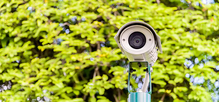 Advanced Surveillance Solutions for Every Need in Tamiami