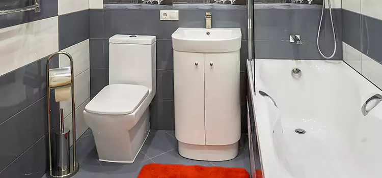 Hansgrohe Shaving Mirror Tamiami