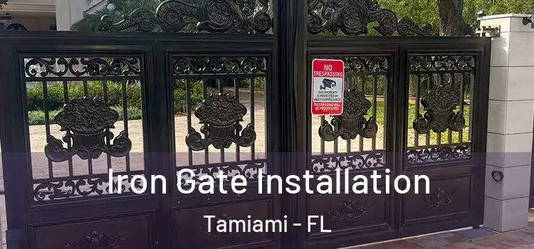  Iron Gate Installation Tamiami - FL