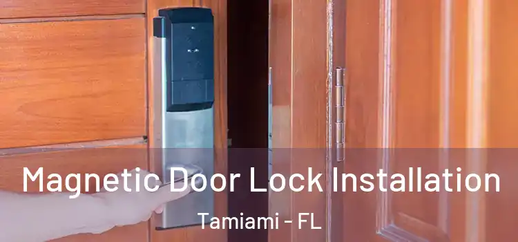  Magnetic Door Lock Installation Tamiami - FL