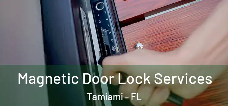  Magnetic Door Lock Services Tamiami - FL