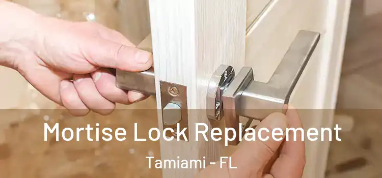  Mortise Lock Replacement Tamiami - FL