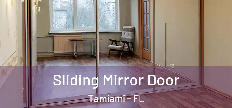  Sliding Mirror Door Tamiami - FL